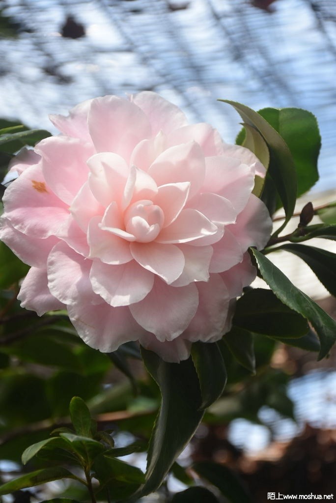 DSC_00141299470014.JPG