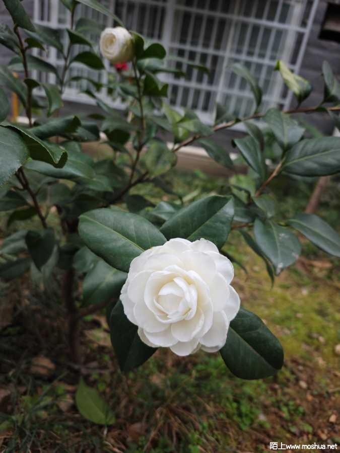 IMG_20260212_150029.jpg