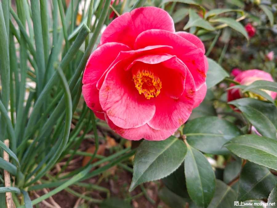 IMG20260226085225.jpg