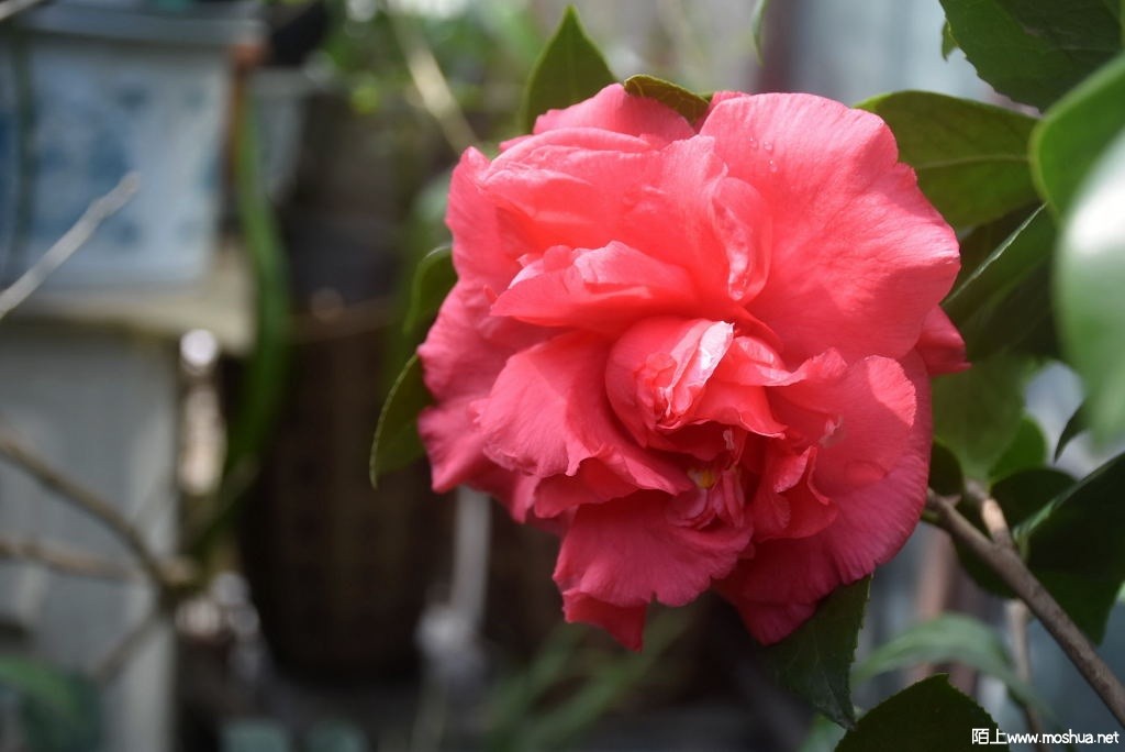 DSC_03251367620325.JPG