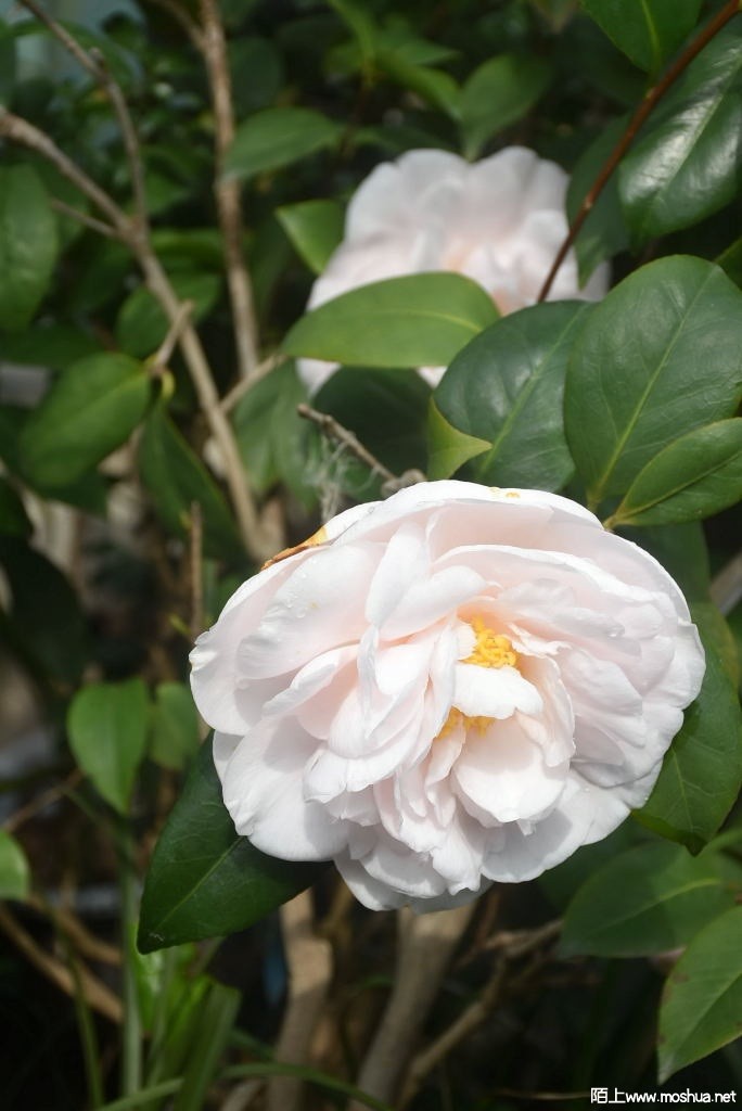 DSC_03601367970360.JPG