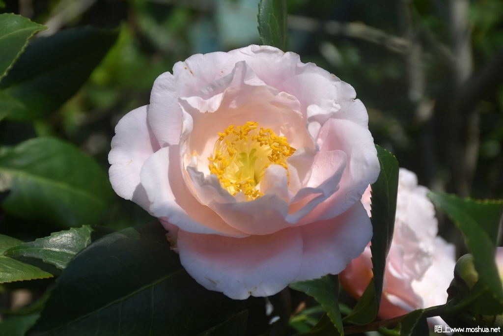 DSC_01341426030134.JPG