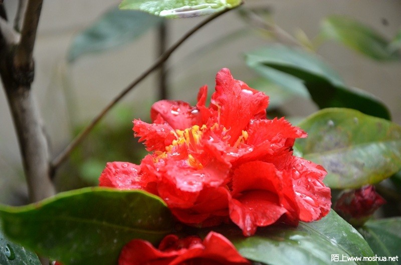 DSC_0786.JPG