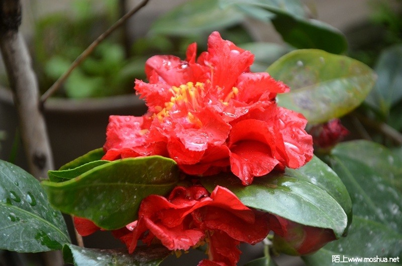 DSC_0790.JPG
