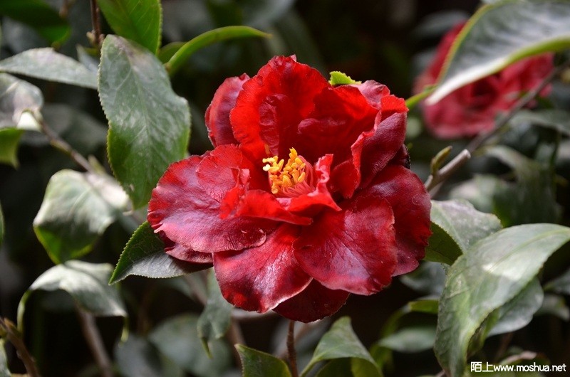 DSC_0764.JPG