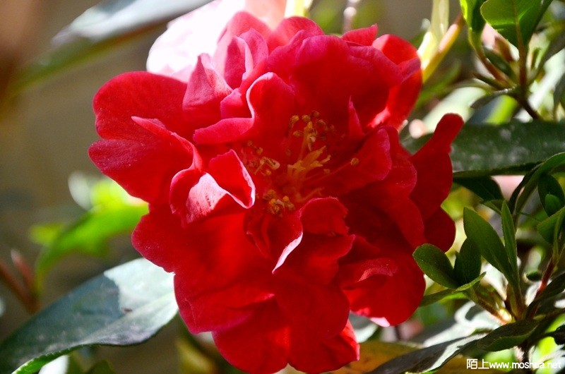 DSC_0862.JPG