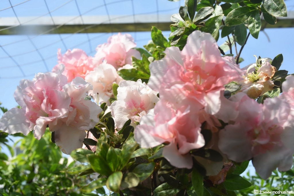 DSC_02101589180210.JPG