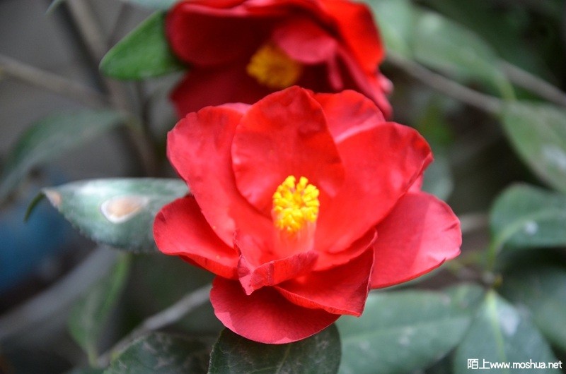 DSC_0835.JPG
