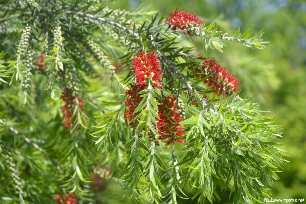 _DSC31001607630368.JPG