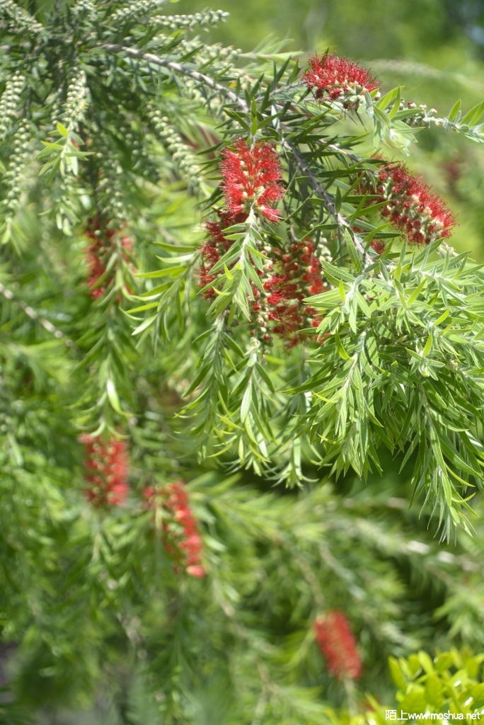 _DSC31031607660371.JPG