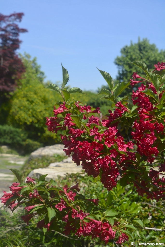 _DSC30631607260331.JPG
