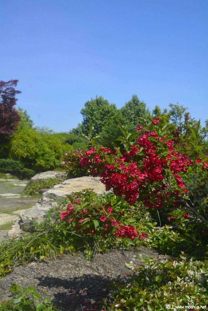 _DSC30621607250330.JPG