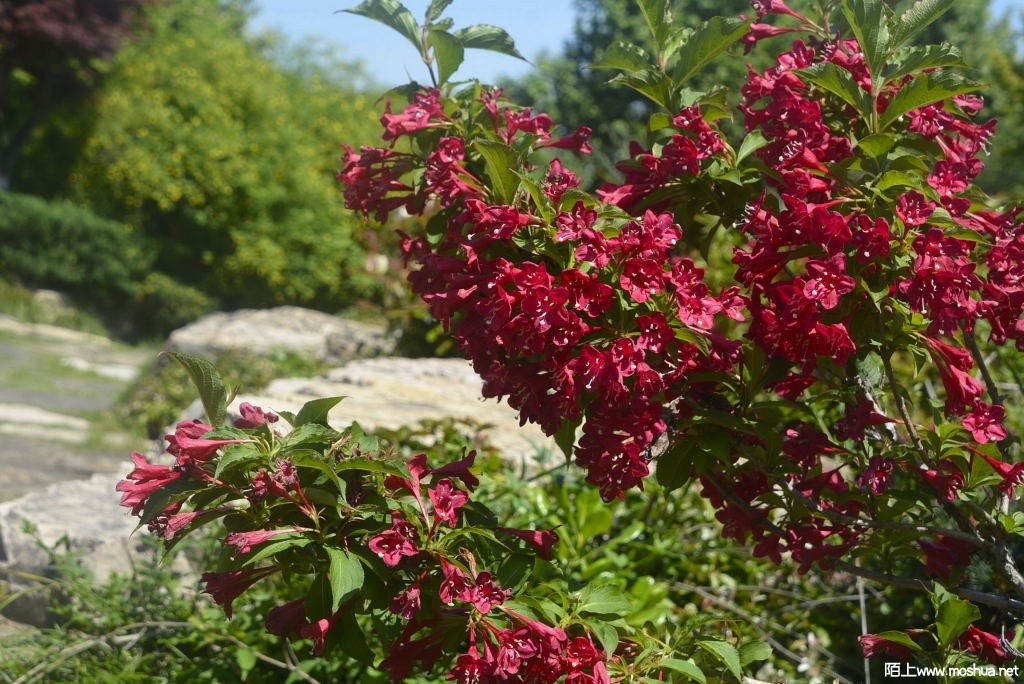 _DSC30521607150320.JPG
