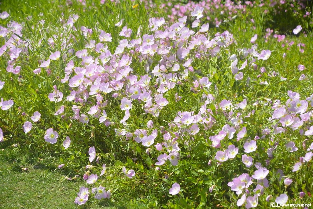 _DSC31441608070412.JPG