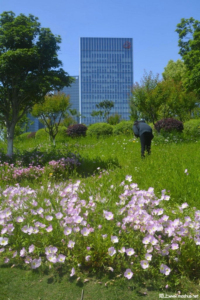 _DSC31391608020407.JPG