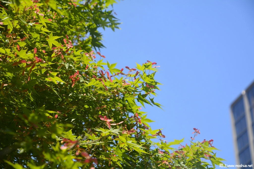 _DSC27621604250030.JPG