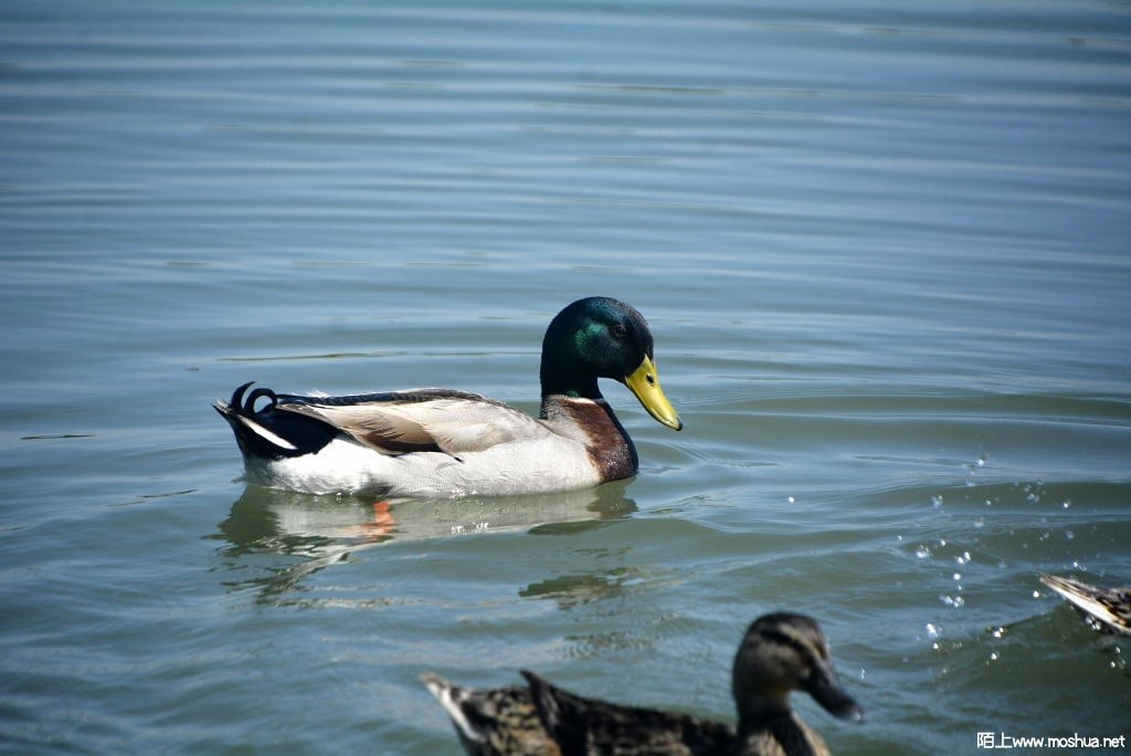 _DSC31891608520457.JPG