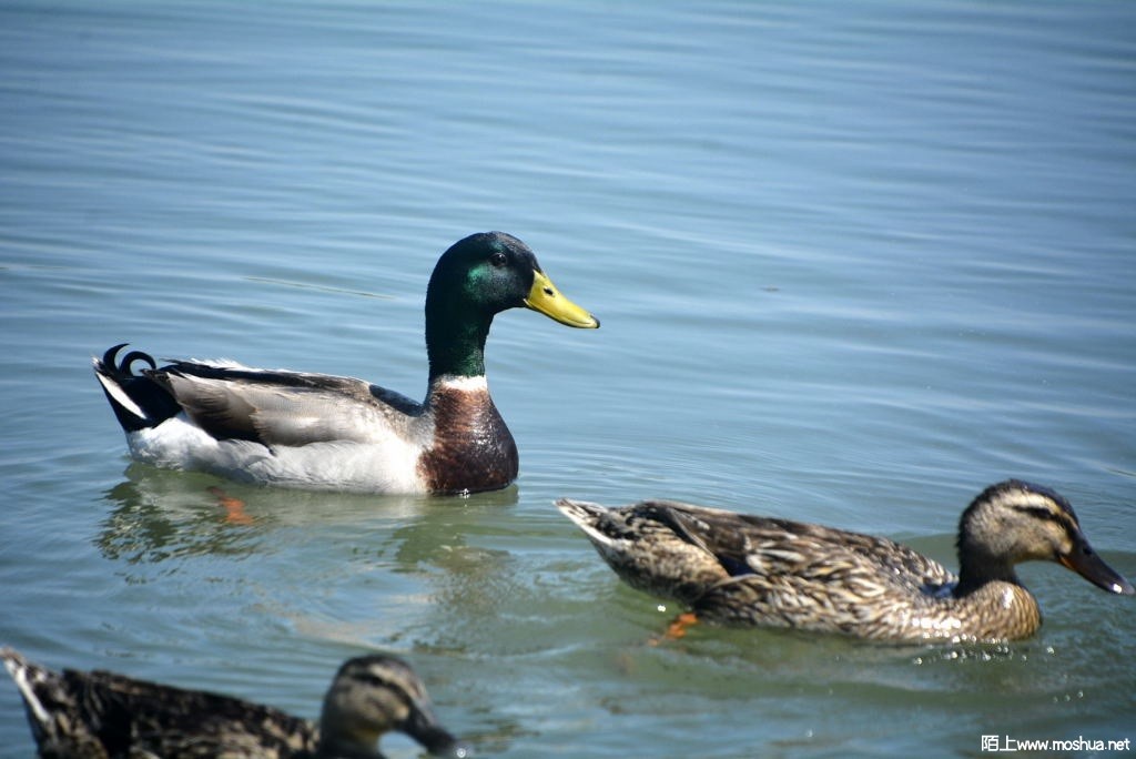 _DSC31871608500455.JPG