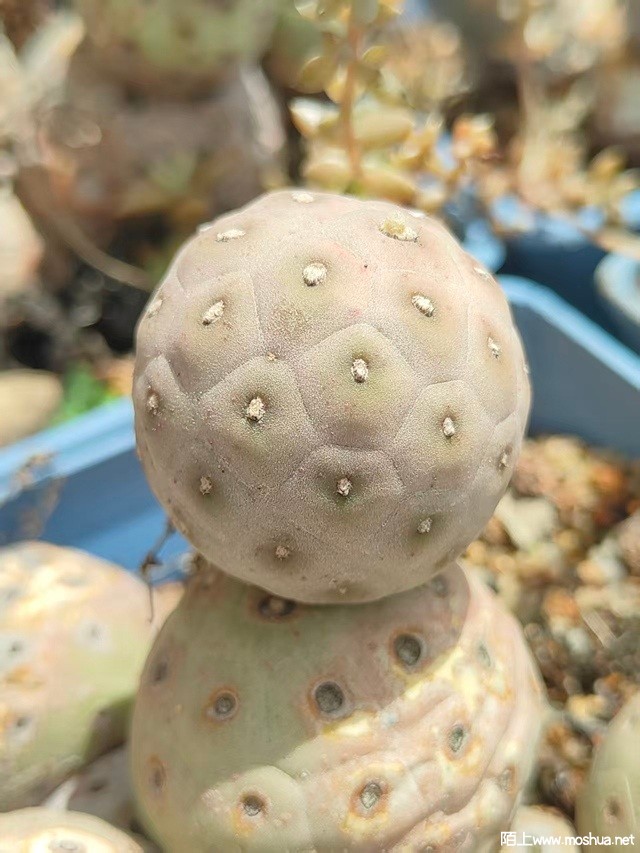 ΢��ͼƬ_20260503151548_238_55.jpg