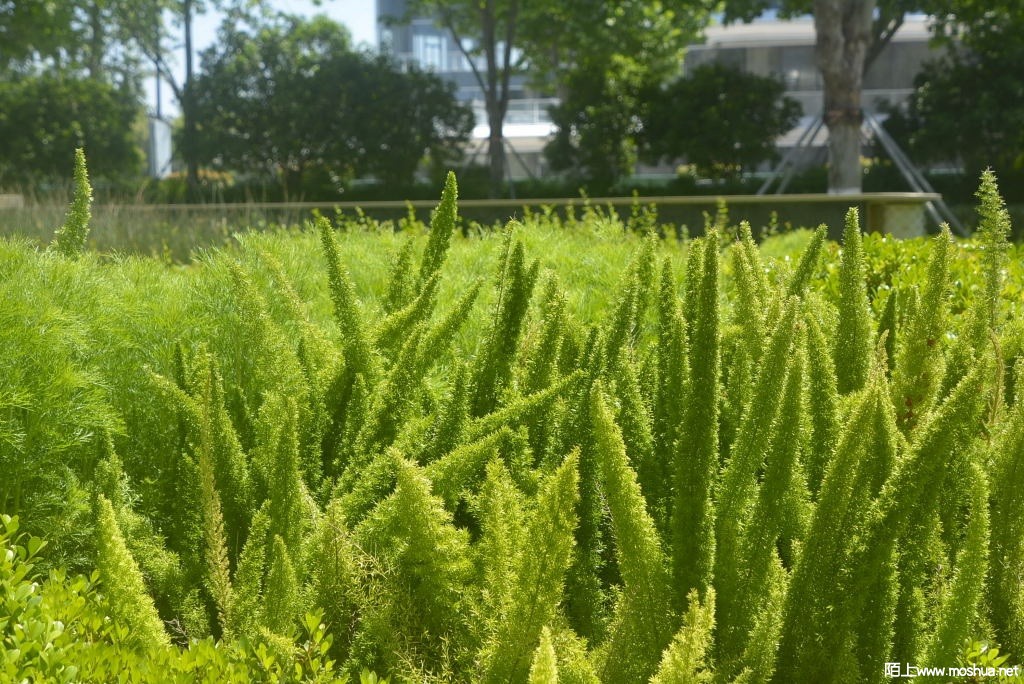 _DSC27951604580063.JPG