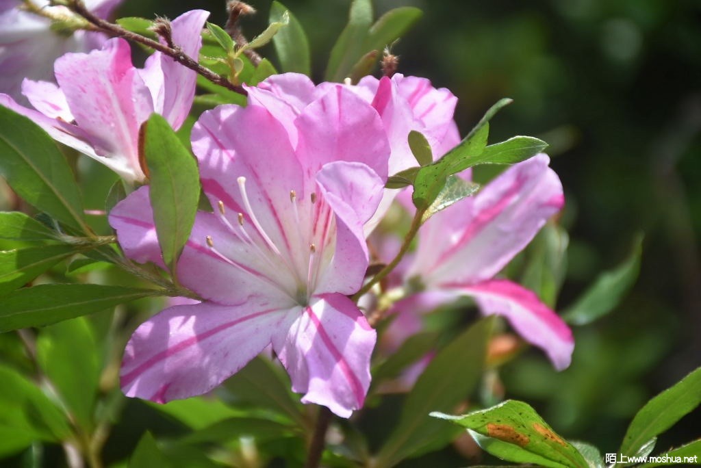 DSC_00731640100073.JPG