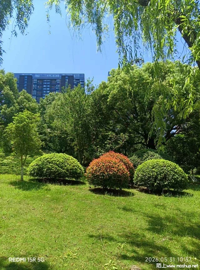 ΢��ͼƬ_20260602164759_308_5.jpg
