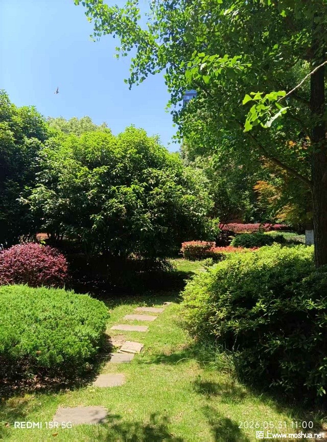 ΢��ͼƬ_20260602164751_300_5.jpg