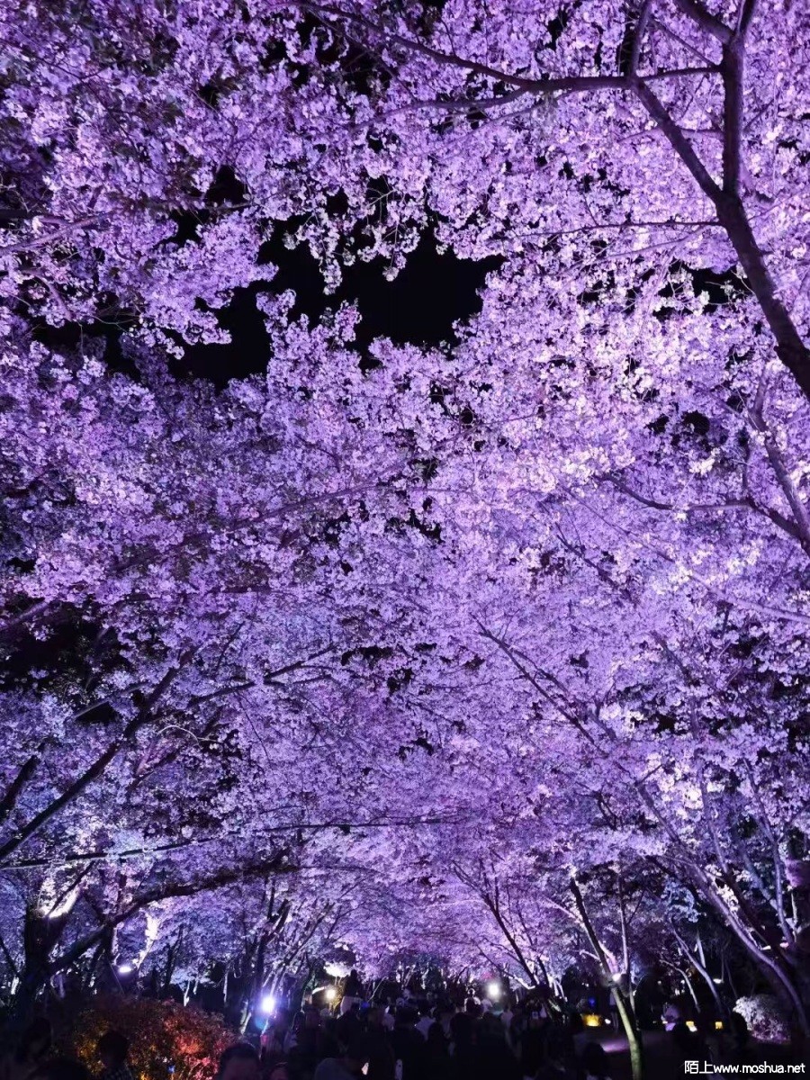 1172775468.jpg