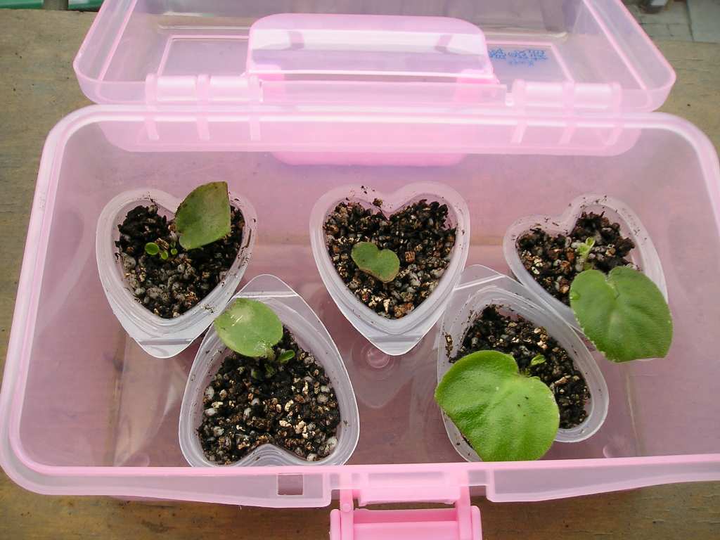 �����е㸻�ˣ���������ũ�ı�ô����........