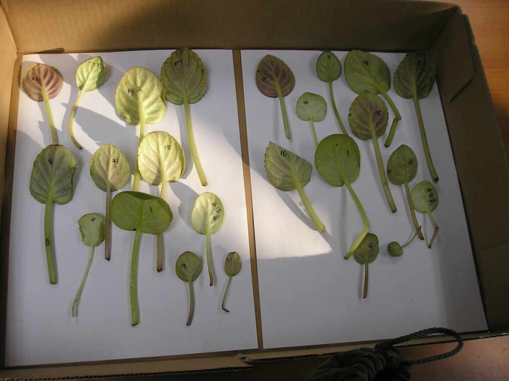 �����е㸻�ˣ���������ũ�ı�ô����........