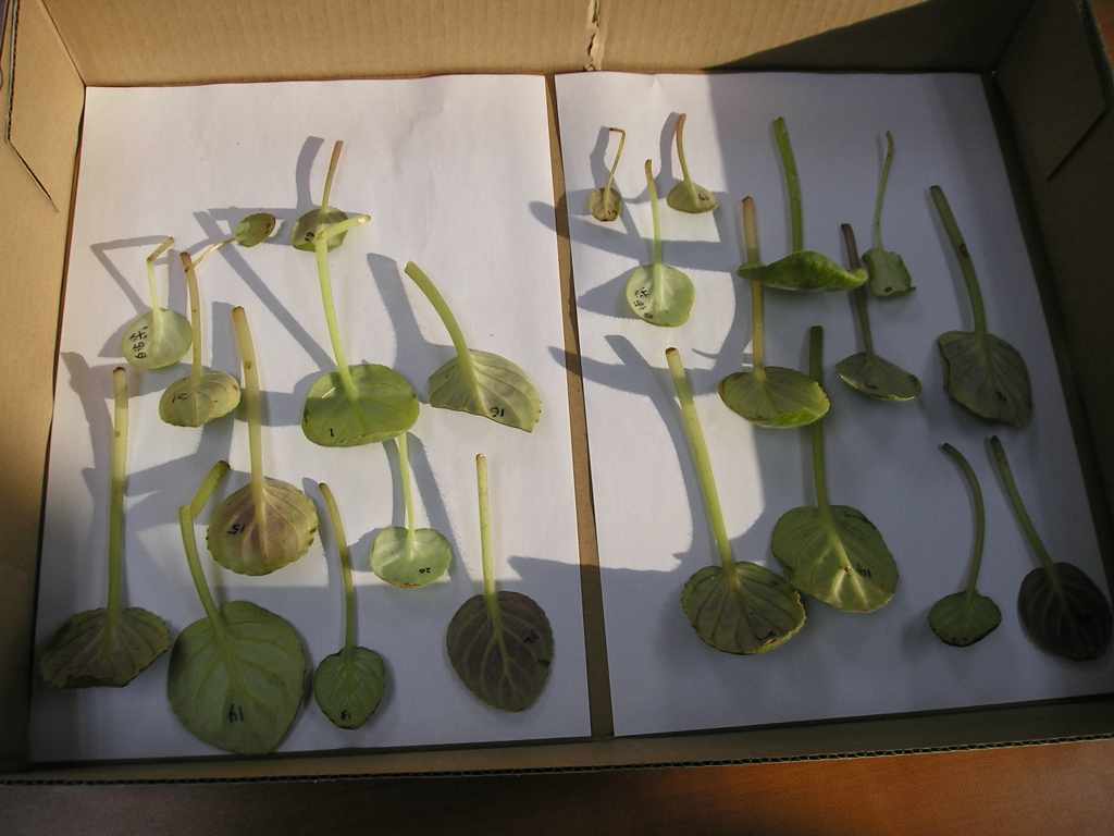 �����е㸻�ˣ���������ũ�ı�ô����........