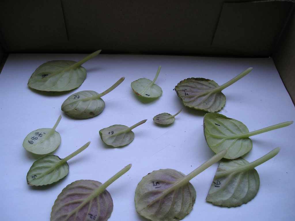 �����е㸻�ˣ���������ũ�ı�ô����........