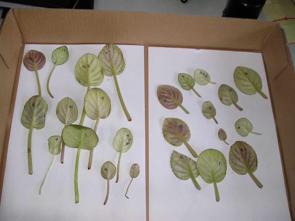 �����е㸻�ˣ���������ũ�ı�ô����........