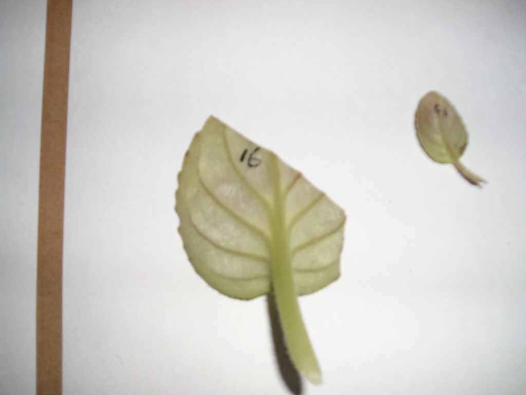 �����е㸻�ˣ���������ũ�ı�ô����........