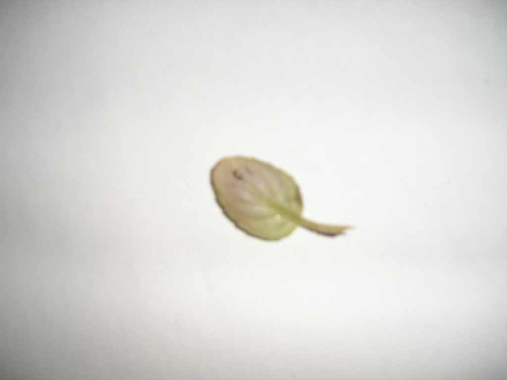 �����е㸻�ˣ���������ũ�ı�ô����........