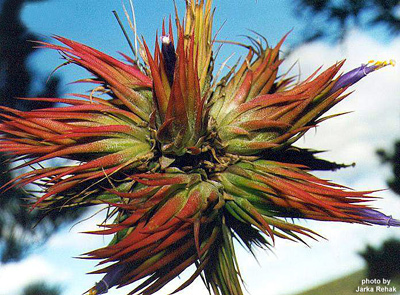 [����]��ؿ����������