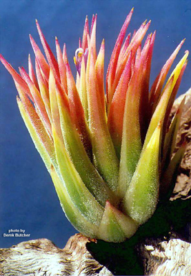 [����]��ؿ����������