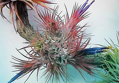 [����]��ؿ����������