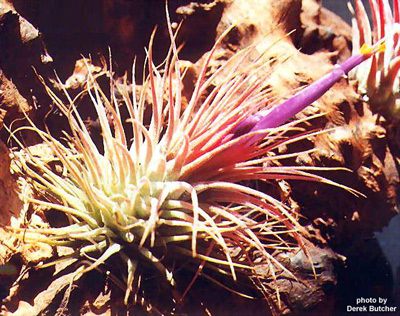 [����]��ؿ����������