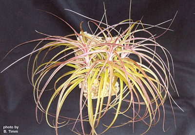 [����]��ؿ����������