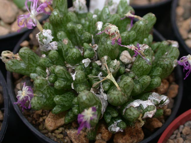 [����]��׶����---55¥��ʼ������ͨ��---