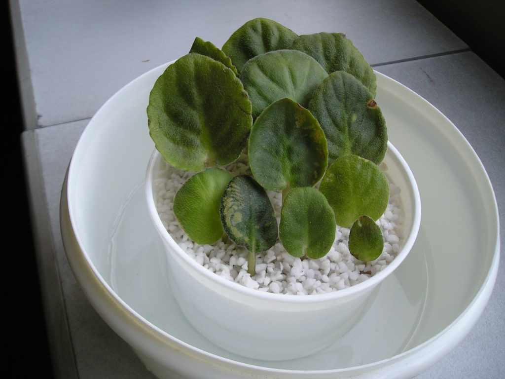 �����е㸻�ˣ���������ũ�ı�ô����........