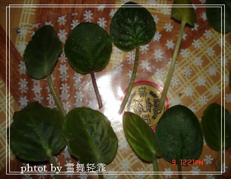 żҲ���������ϼҵ�С����~~