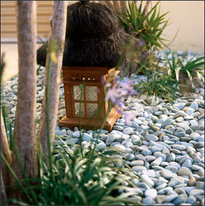 ��һ�ƣ���һ��������Ŀ��������˳�