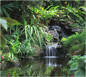 ��һ�ƣ���һ��������Ŀ��������˳�