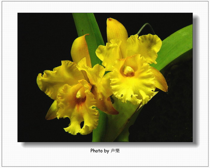 ÿ��һͼ------�����Ŀ�������˫��ͼƬ�� No.7