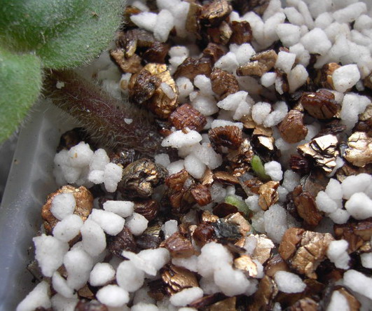 ��Ψһ��һ����