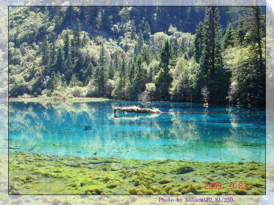 �˼��ɾ�--��կ��