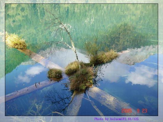 �˼��ɾ�--��կ��