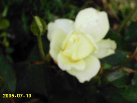�����Ҽҵ��¼�